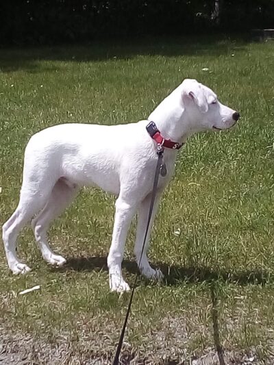 Lakeside Landing Park - Glenburn, ME