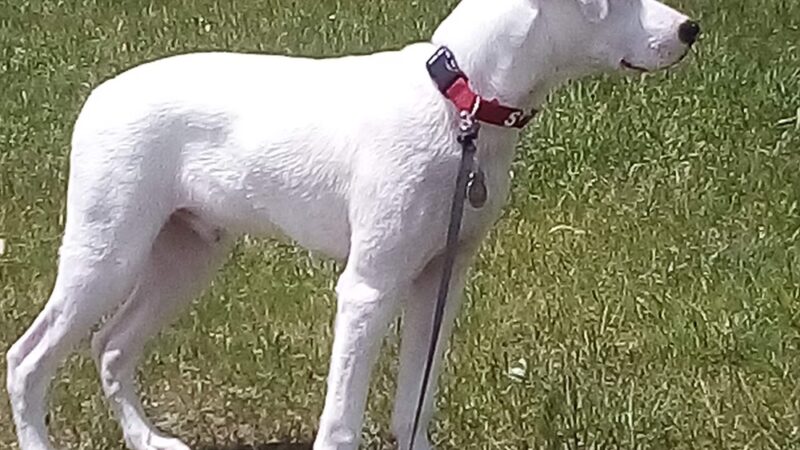 Lakeside Landing Park - Glenburn, ME