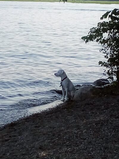 Lakeside Landing Park - Glenburn, ME