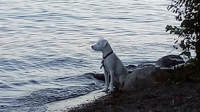 Lakeside Landing Park - Glenburn, ME