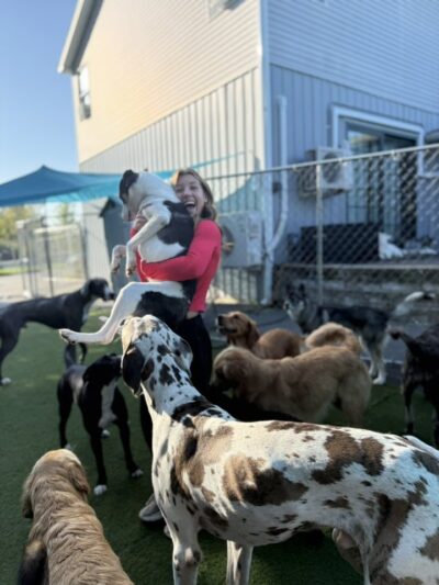 Woof LLC - Glenburn, ME