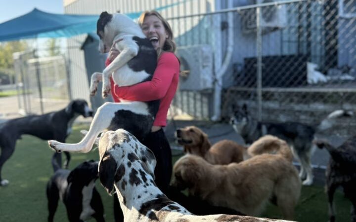 Woof LLC - Glenburn, ME