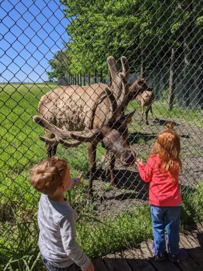 Oak Leaf Park - Glencoe, MN