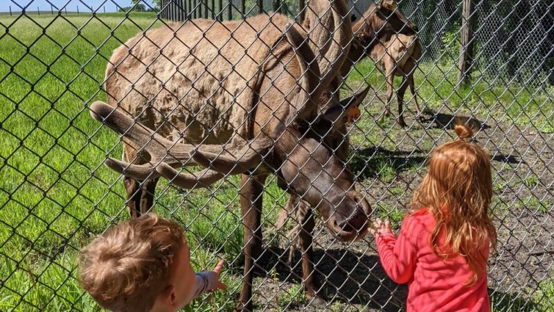 Oak Leaf Park - Glencoe, MN