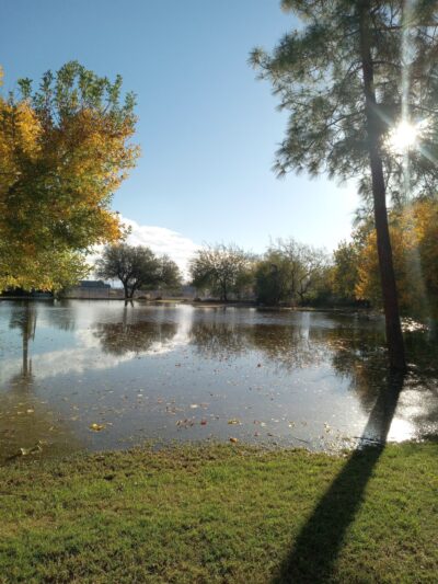 Delicias Park - Glendale, AZ