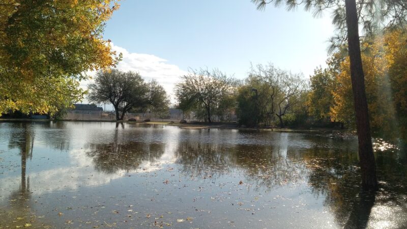 Delicias Park - Glendale, AZ