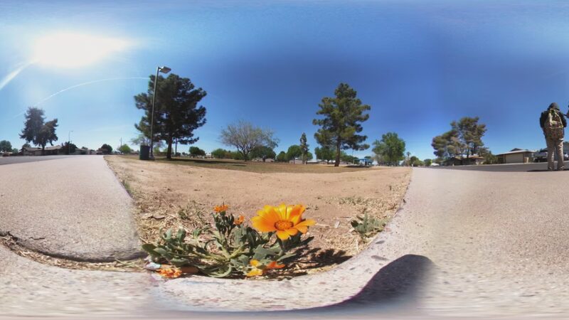 Delicias Park - Glendale, AZ