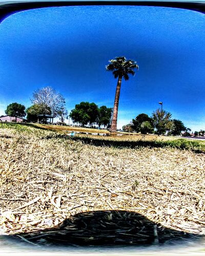 Delicias Park - Glendale, AZ