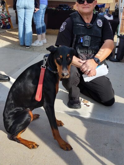 Dog Days of Glendale AZ - Glendale, AZ