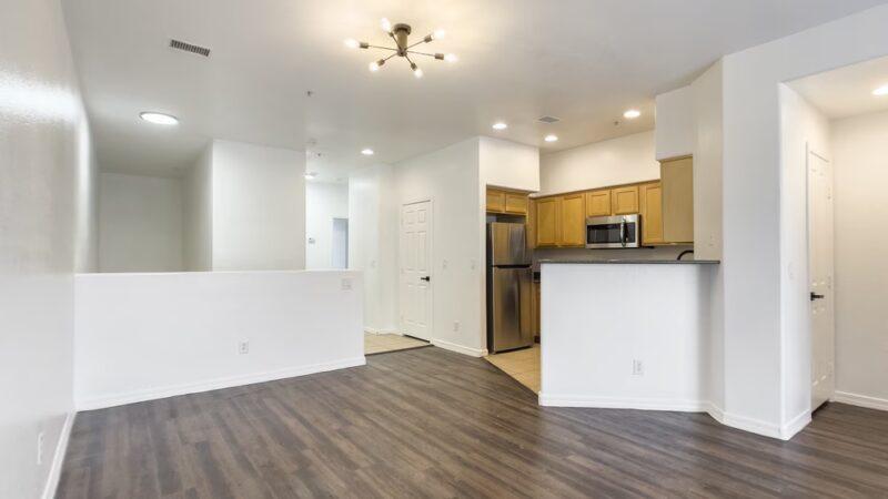 Fringe on 61st - Glendale, AZ