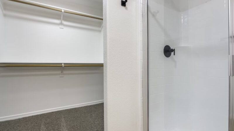 Fringe on 61st - Glendale, AZ