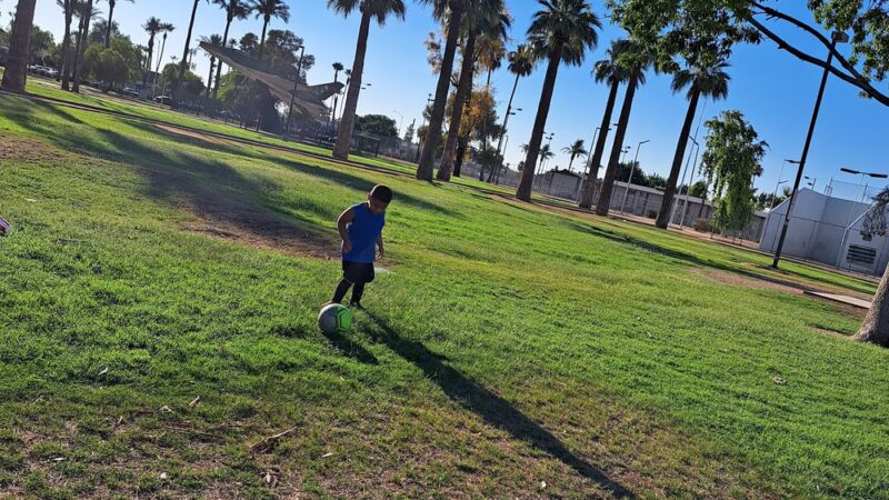Harry Bonsall Sr. Park - Glendale, AZ