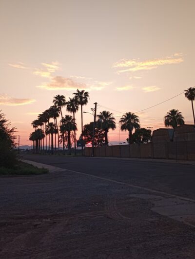 Lions Park - Glendale, AZ
