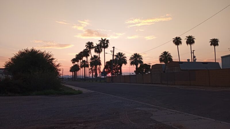 Lions Park - Glendale, AZ