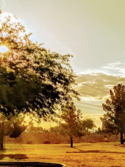 Memmingen Park - Glendale, AZ