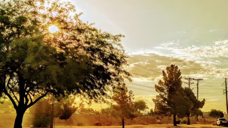 Memmingen Park - Glendale, AZ