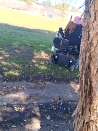 Memmingen Park - Glendale, AZ