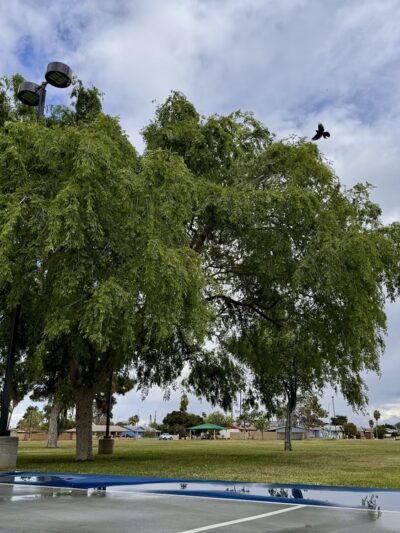 Mission Park - Glendale, AZ