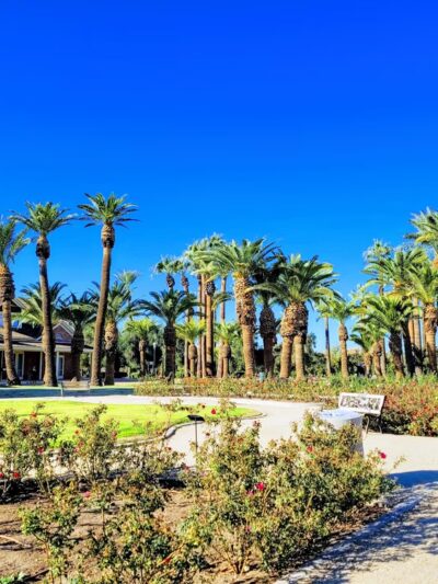 Sahuaro Ranch Park - Glendale, AZ