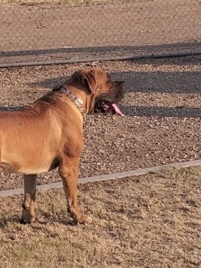 Northern Horizon Park - Glendale, AZ