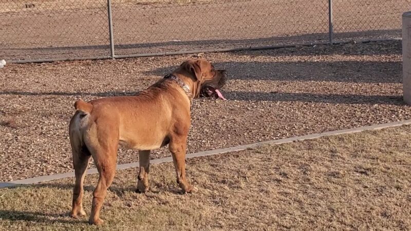 Northern Horizon Park - Glendale, AZ