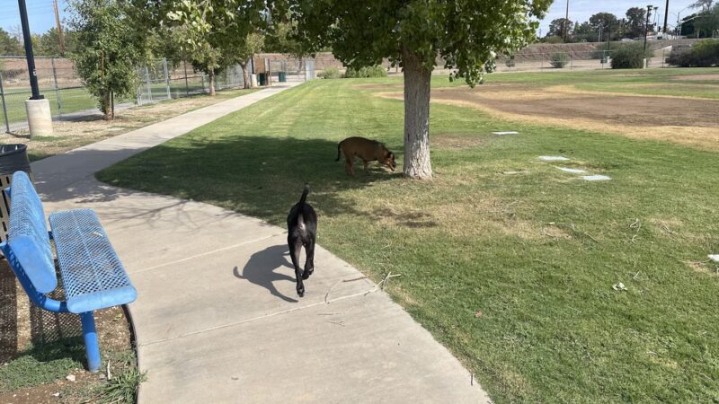 Northern Horizon Park - Glendale, AZ