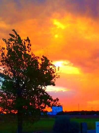 Northern Horizon Park - Glendale, AZ