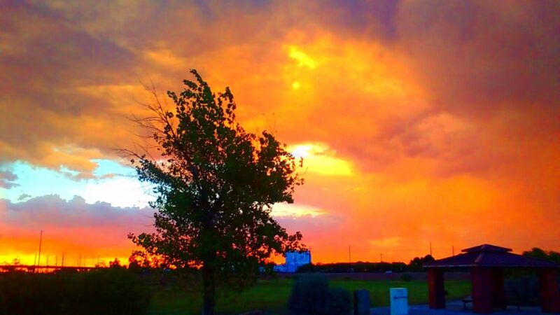 Northern Horizon Park - Glendale, AZ