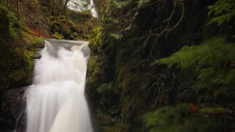 Wolf Creek Falls - Glide, OR