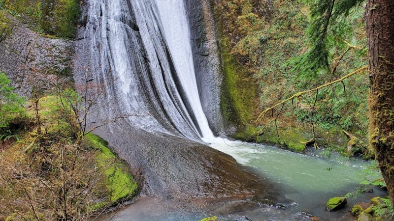 Wolf Creek Falls - Glide, OR