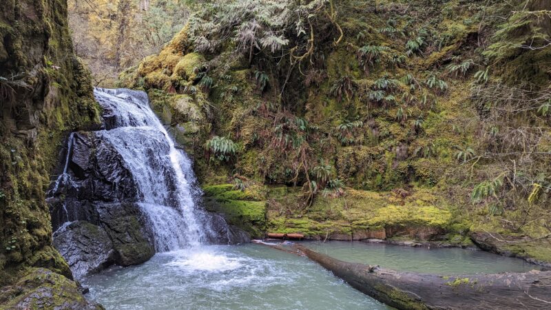 Wolf Creek Falls - Glide, OR