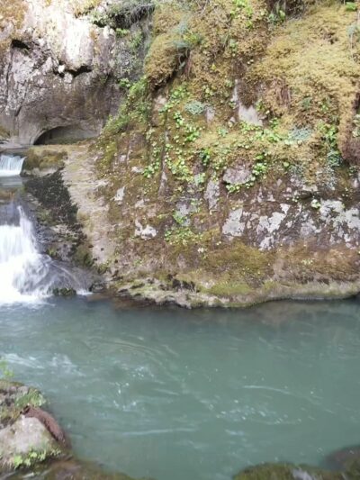 Wolf Creek Falls Picnic Area - Glide, OR