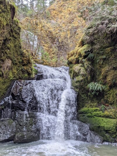 Wolf Creek Falls Picnic Area - Glide, OR