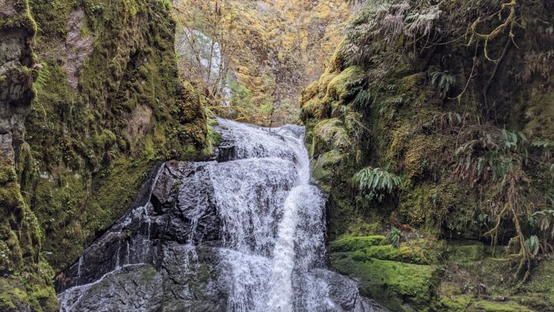 Wolf Creek Falls Picnic Area - Glide, OR