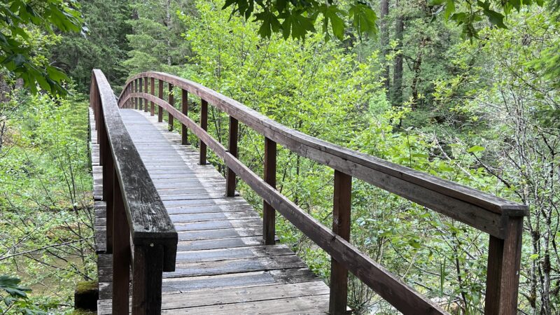 Wolf Creek Falls Picnic Area - Glide, OR