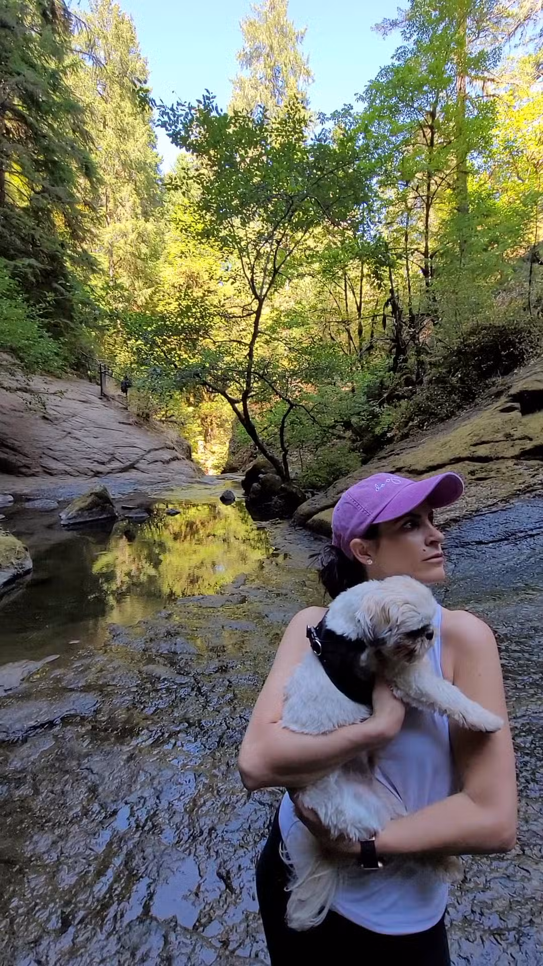 Wolf Creek Falls - Glide, OR