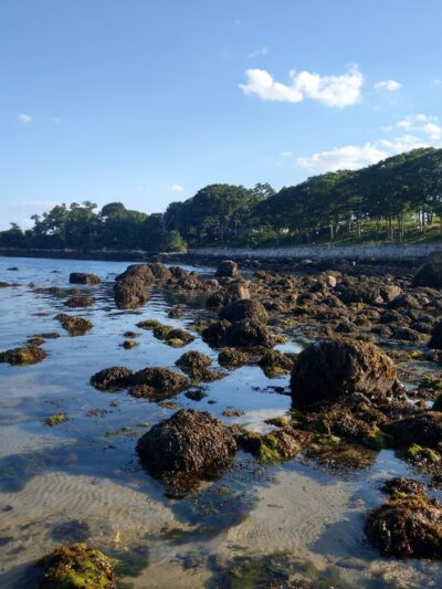 Crab Beach - Gloucester, MA