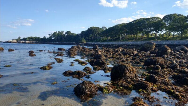 Crab Beach - Gloucester, MA