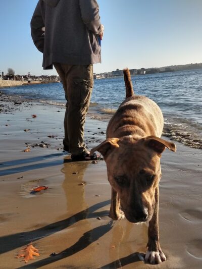 Crab Beach - Gloucester, MA
