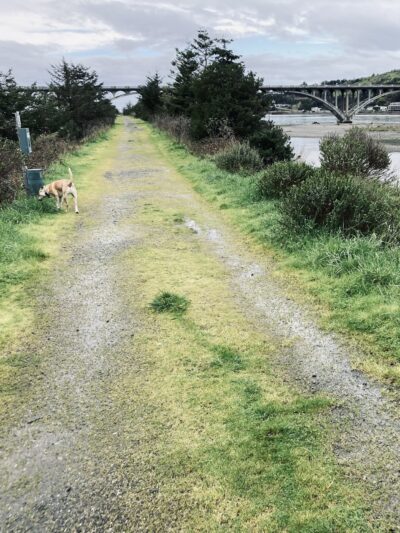 Gold Beach Dog Jetty - Gold Beach, OR