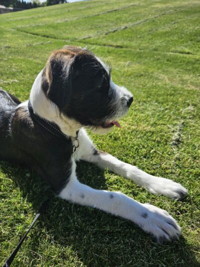 World War II Park - Goldendale, WA