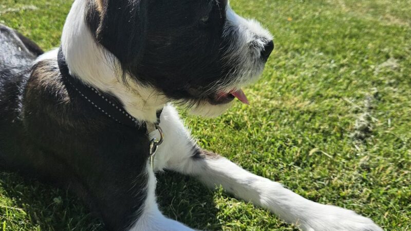 World War II Park - Goldendale, WA