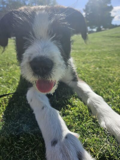 World War II Park - Goldendale, WA
