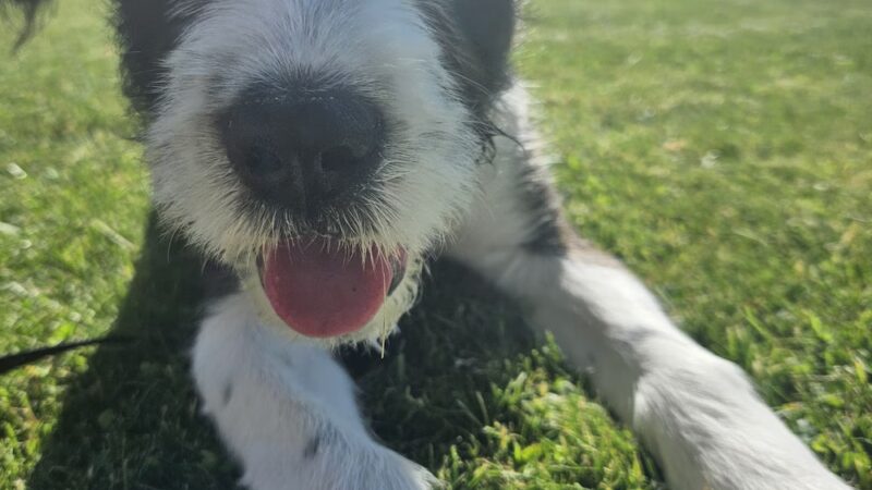 World War II Park - Goldendale, WA