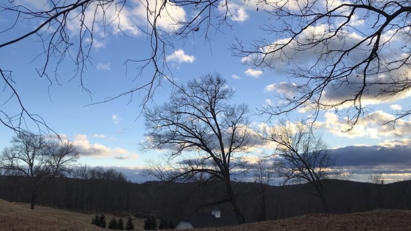 Brownell Preserve - Goldens Bridge, NY