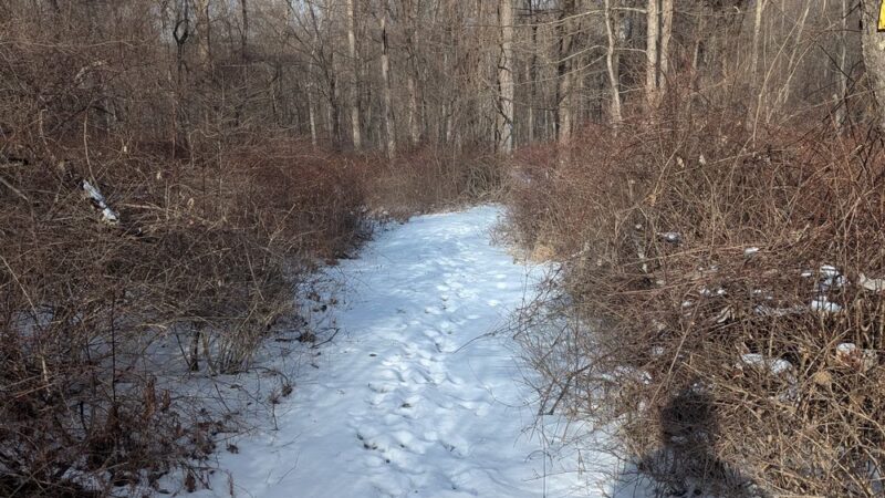 Brownell Preserve - Goldens Bridge, NY