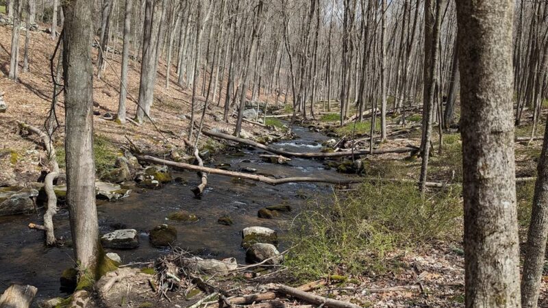 Brownell Preserve - Goldens Bridge, NY