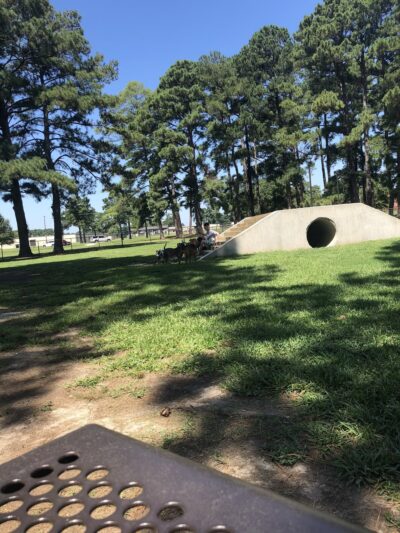 Base Dog Park - Goldsboro, NC