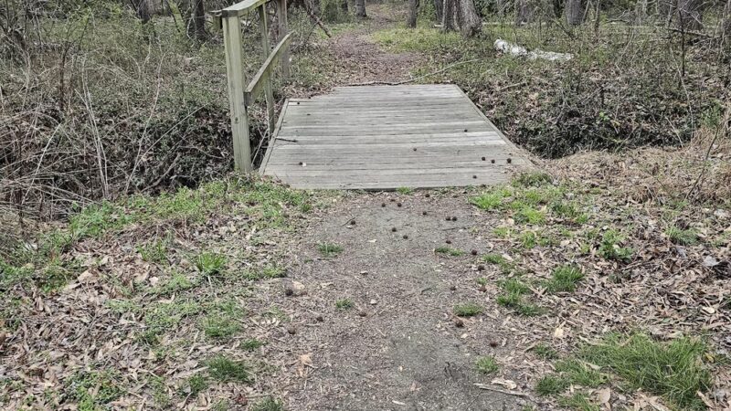 Stoney Creek Park - Goldsboro, NC