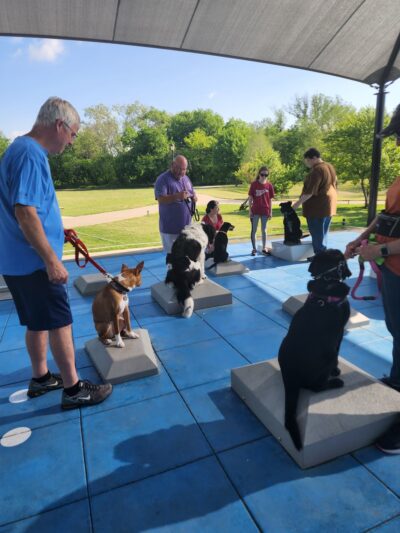Goode Dog Training - ,